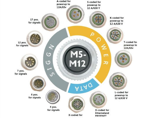 M12 Series Circular Wire Connector Socket 12 pin Đẹp màn hình vít phía sau